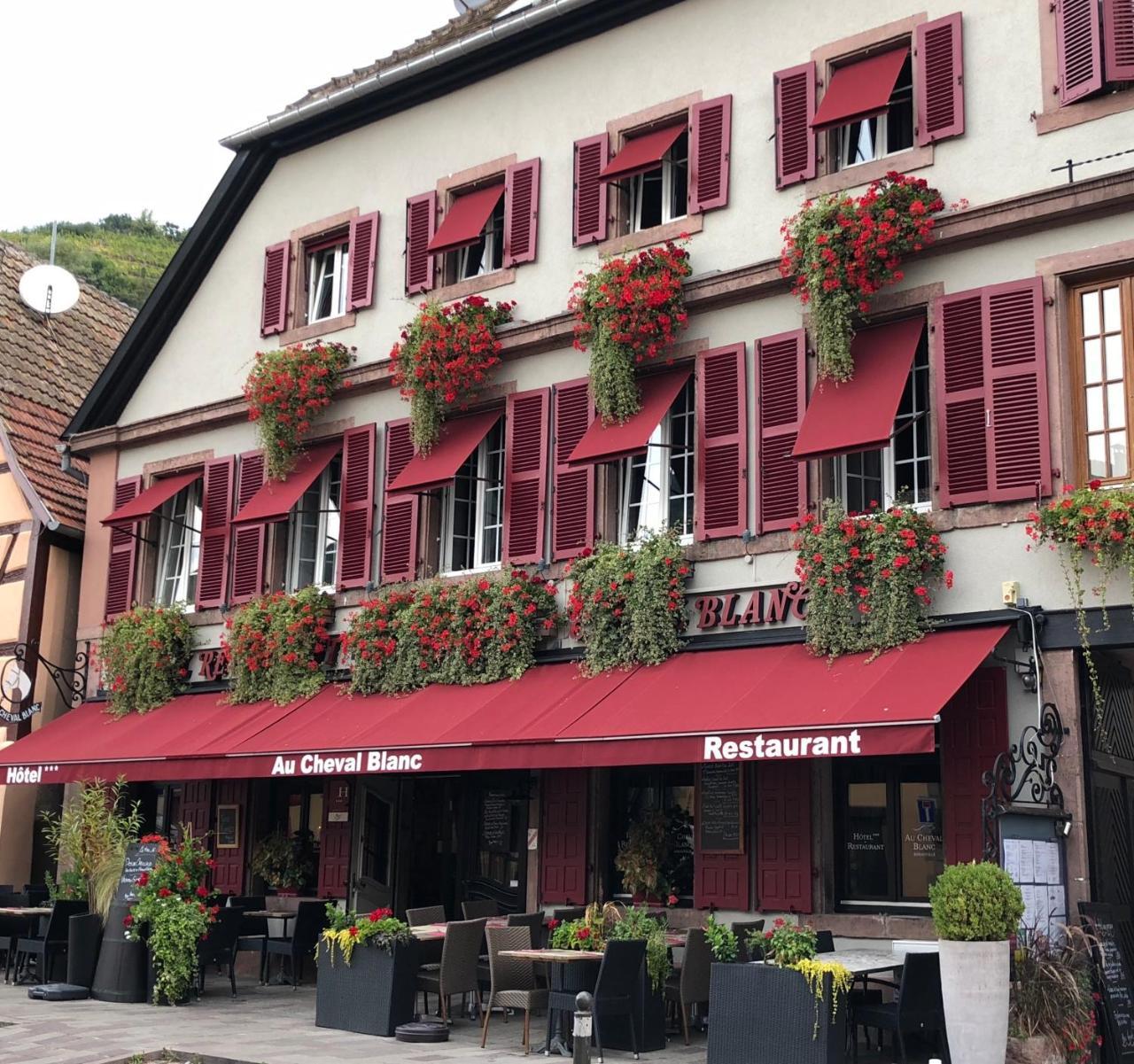 Hotel Spa Restaurant Au Cheval Blanc Ribeauvillé Eksteriør billede