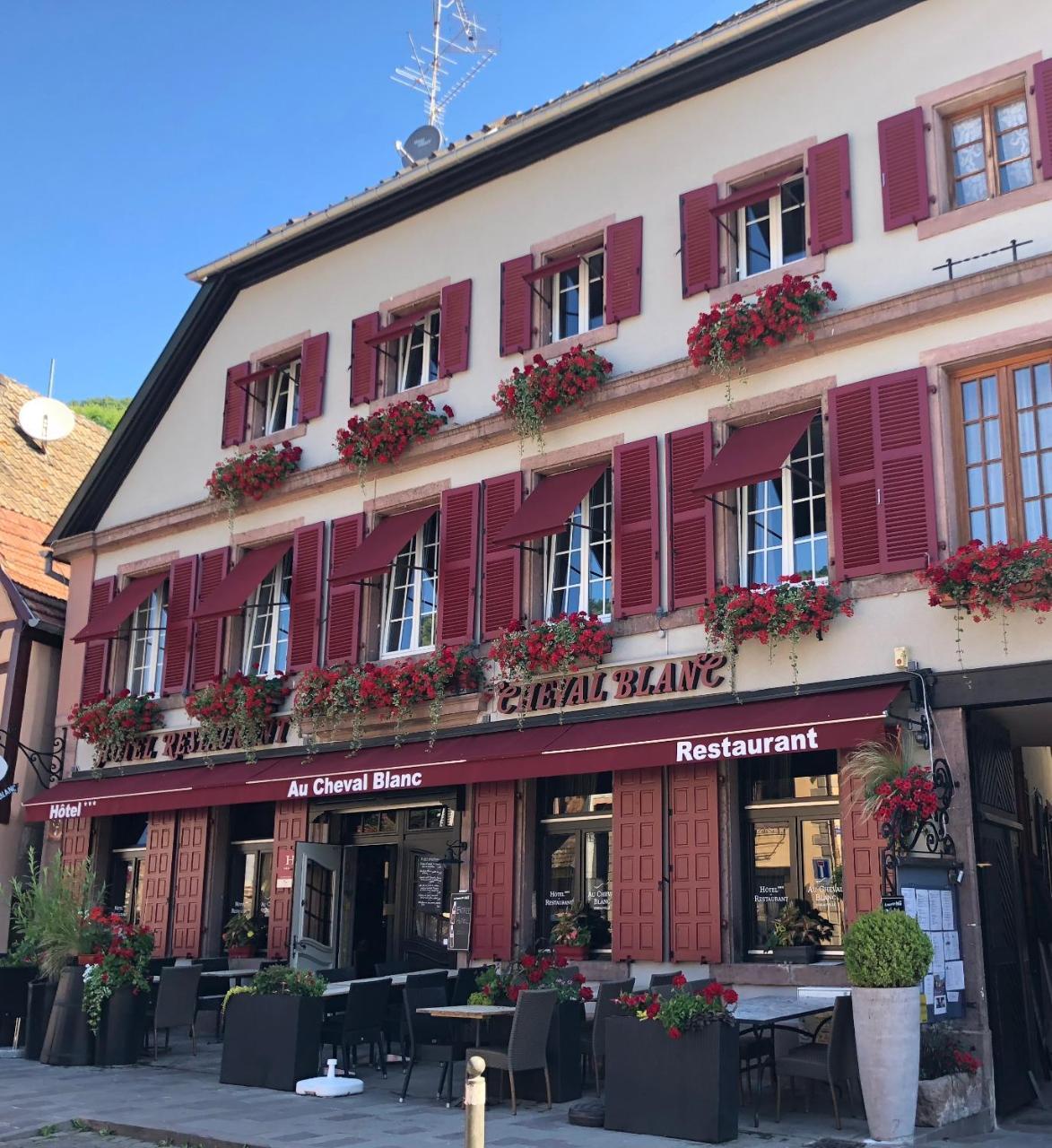 Hotel Spa Restaurant Au Cheval Blanc Ribeauvillé Eksteriør billede